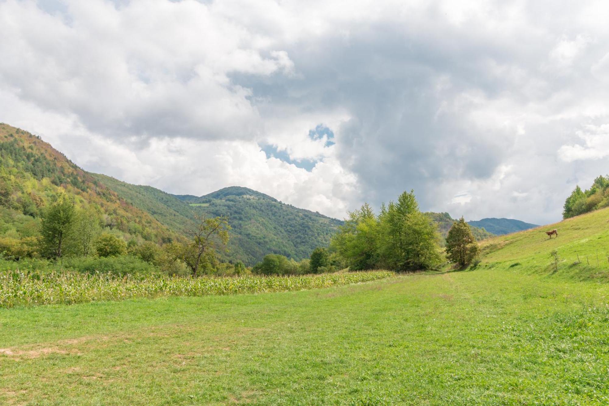 Pensiunea Popasul Ursilor Chişcău エクステリア 写真