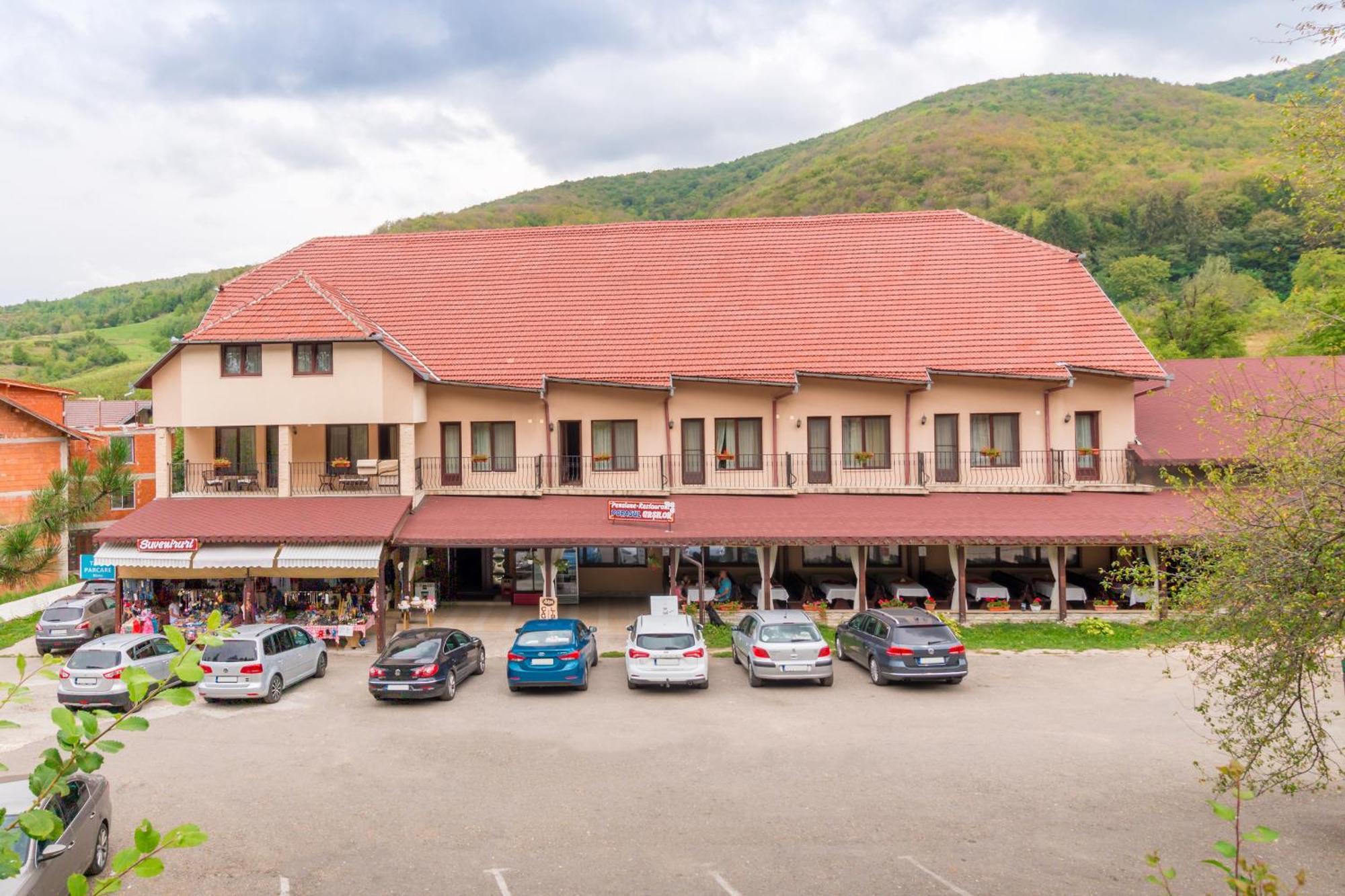 Pensiunea Popasul Ursilor Chişcău エクステリア 写真